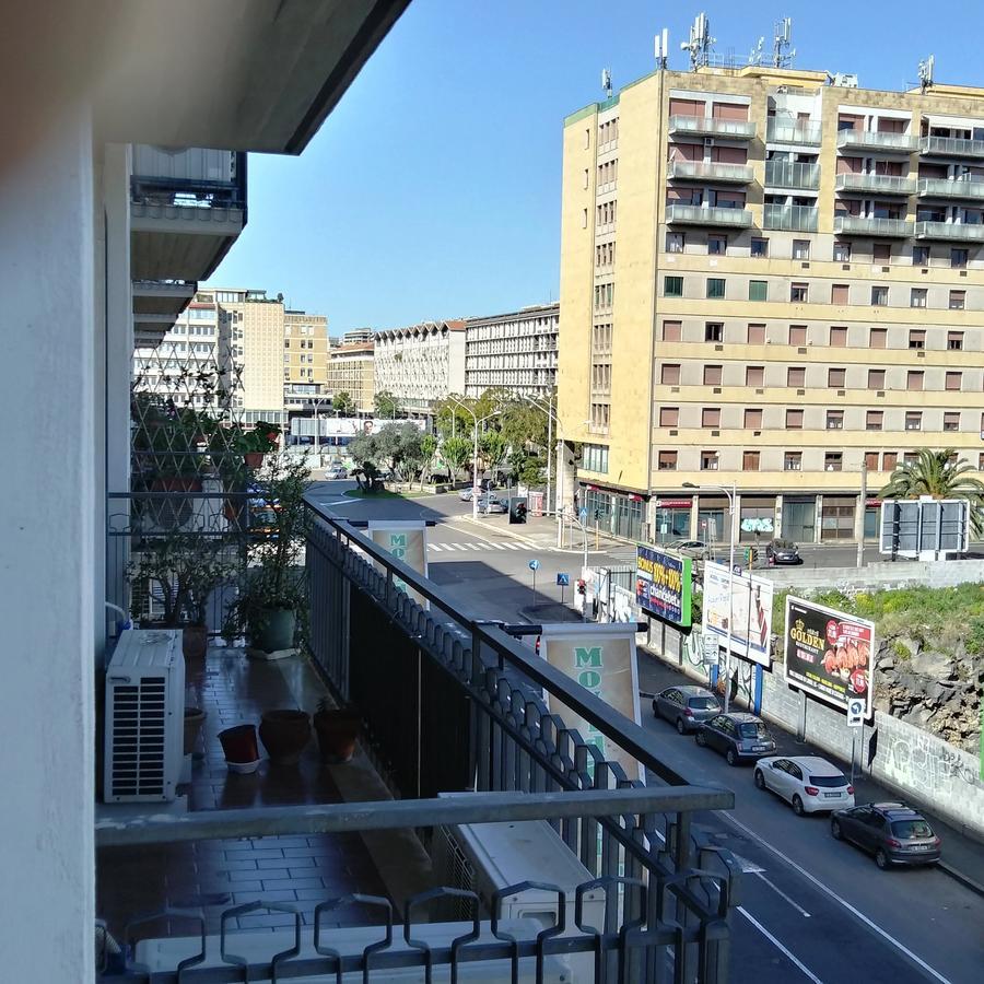 Movida
